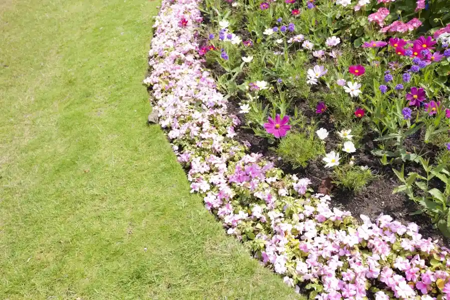 Flower Bed and Garden